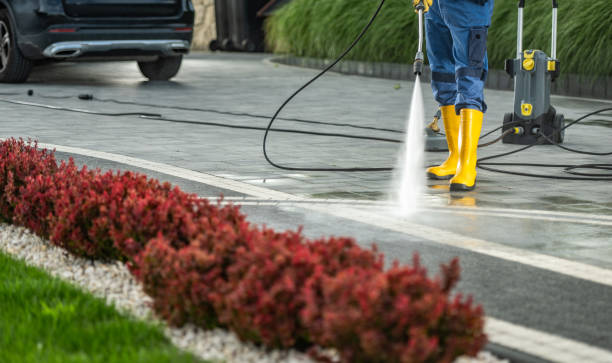 Best Affordable Pressure Washing  in Crystal Lake, IL